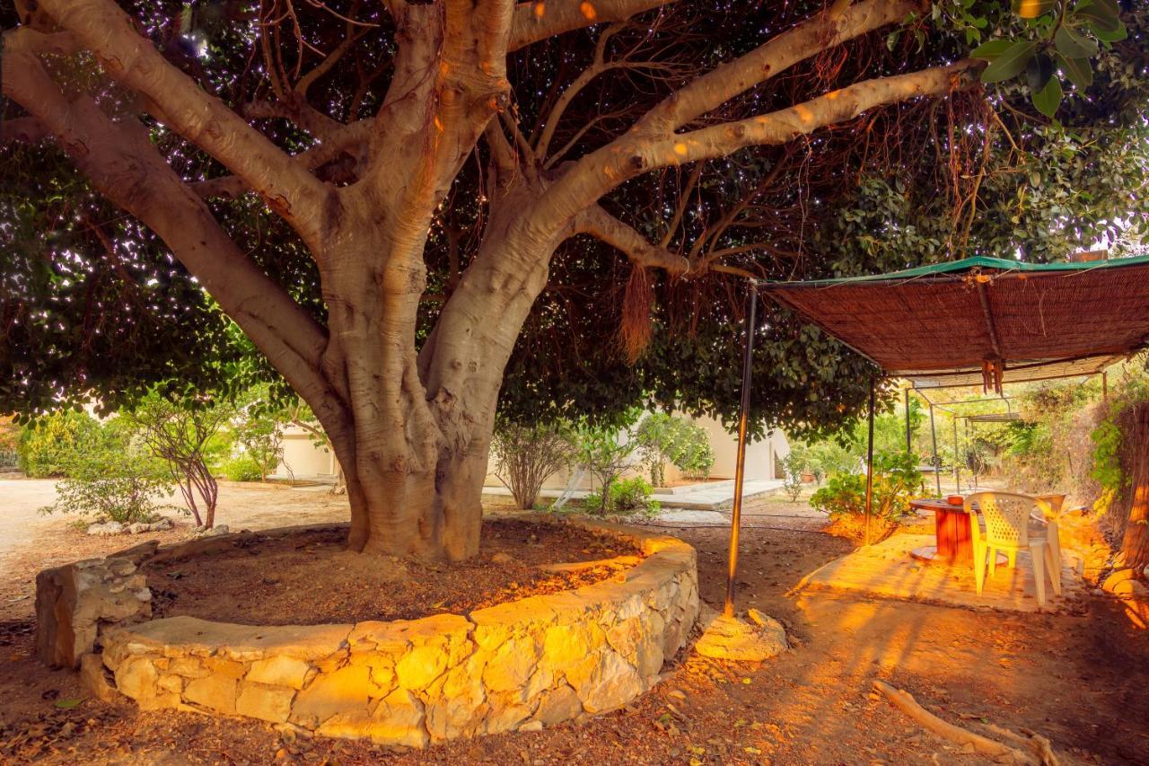 Apartamento Castello Veroy *