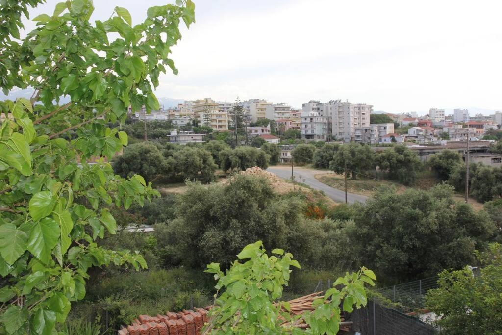 άνετο και πολυτελές οροφοδιαμέρισμα 2 Apartamento *