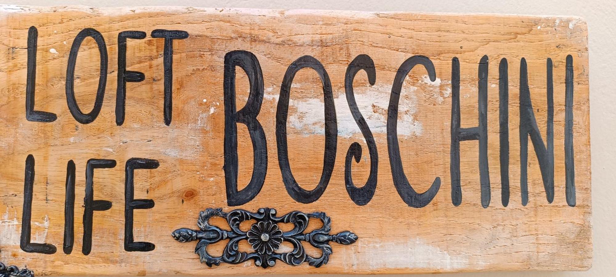 Boschini Loft Life Appartement *