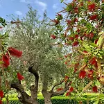 Aggelos And Thisbe Chania Suburbs Sea View Guest House