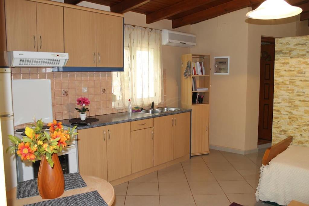 Roidis Apartment *