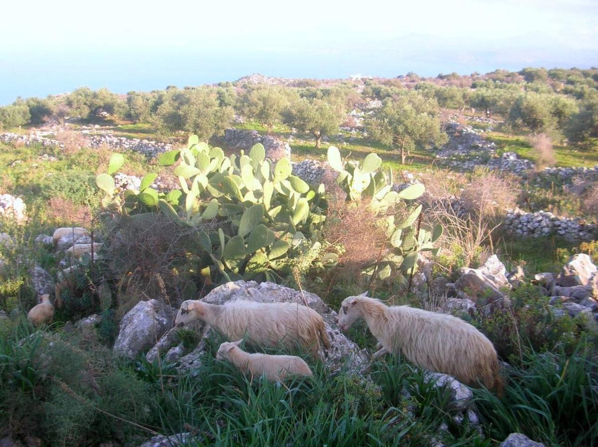 Kefalas Nr Almyrida Sea View *
