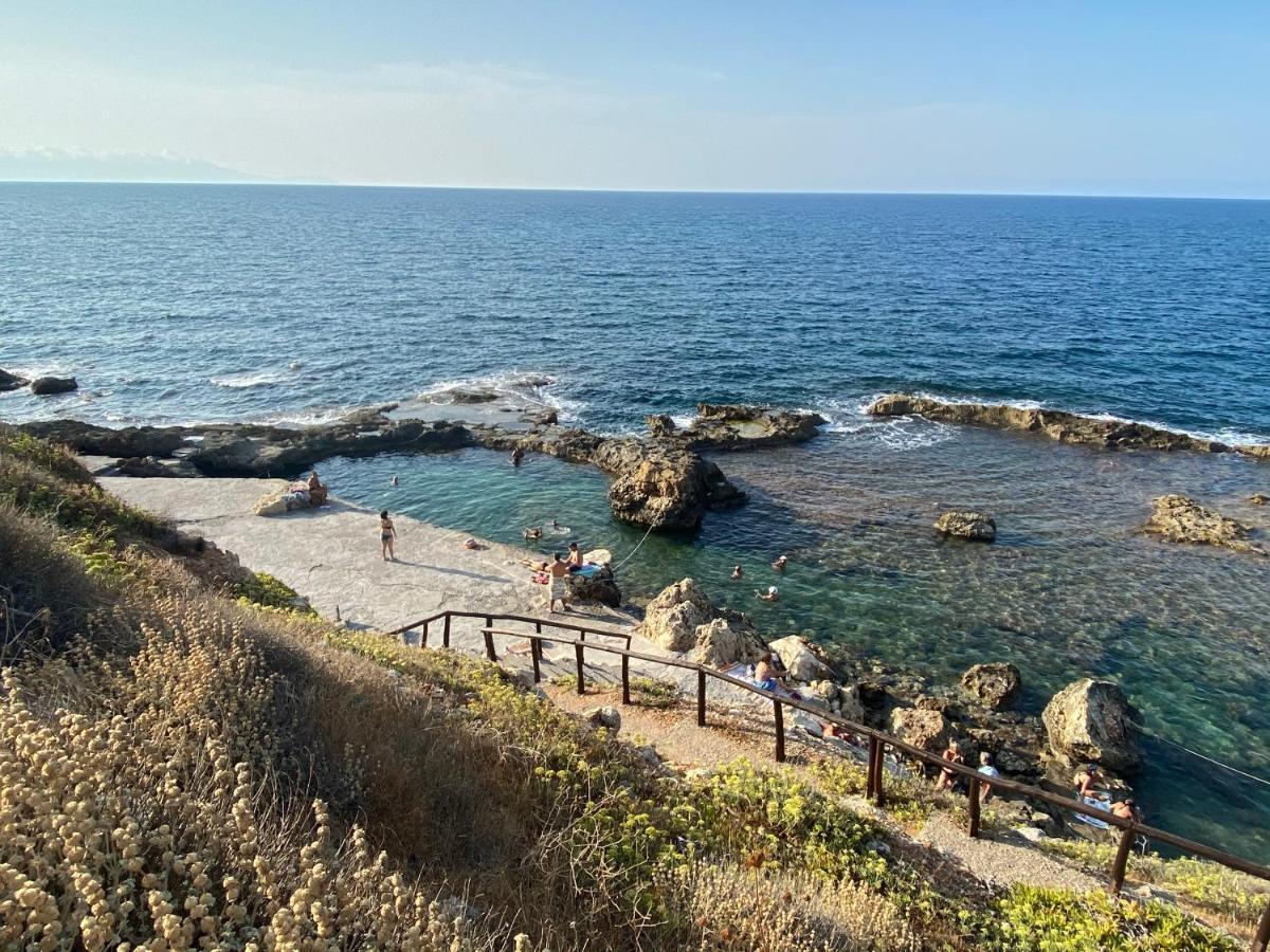 Microcosmos Halepas Chrissi Akti Chania
