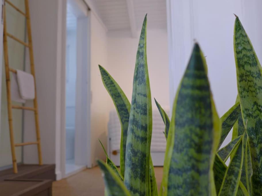 Holiday home Fos - Casa Casa Group Chania (Crete)