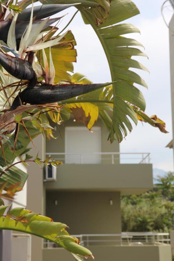 Kamares Apts - Antonis Cozy Maisonette Chania (Crete)