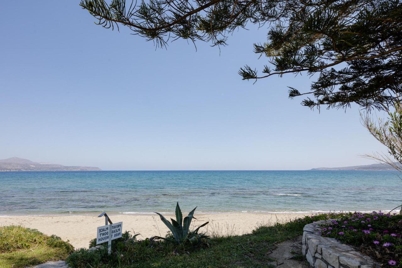 Apartment Adelphes Beachfront With Direct Connection To The *
