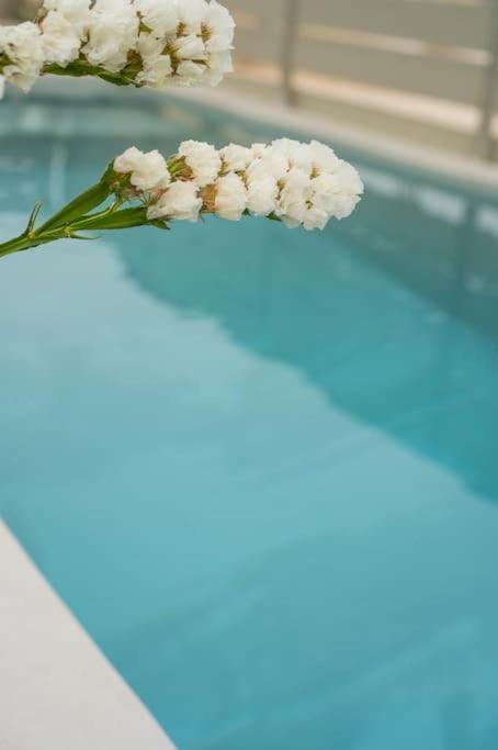 To Ble Hani, The Old Town House Villa Chania (Crete)