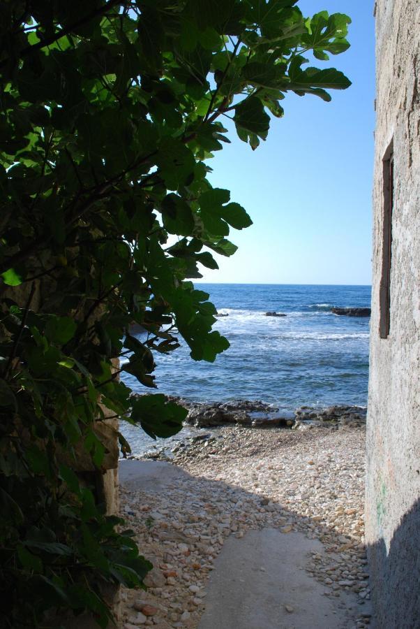 Glorious Historic Chania Seaside Villa Chania (Crete)