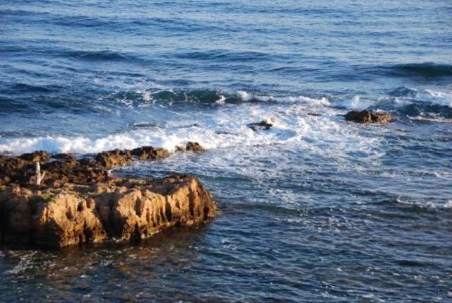 Villa Glorious Historic Chania Seaside *