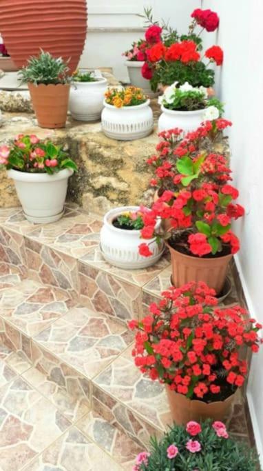 Newly Reconstructed Flat 107sqm! * Chania (Crete)