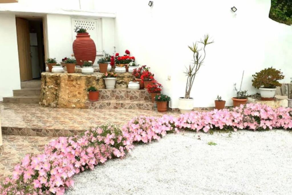 Newly Reconstructed Flat 107sqm! Apartment Chania (Crete)