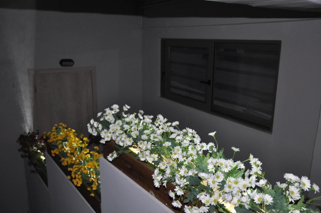 Mirma Halepa Superior Appartement Chania (Crete)