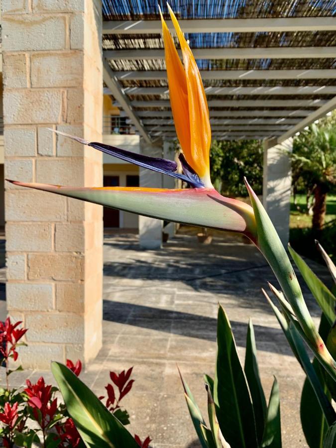 Aggelos And Thisbe Chania Suburbs Sea View Holiday home