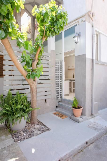 The Cozy Nest Apartment Chania (Crete)