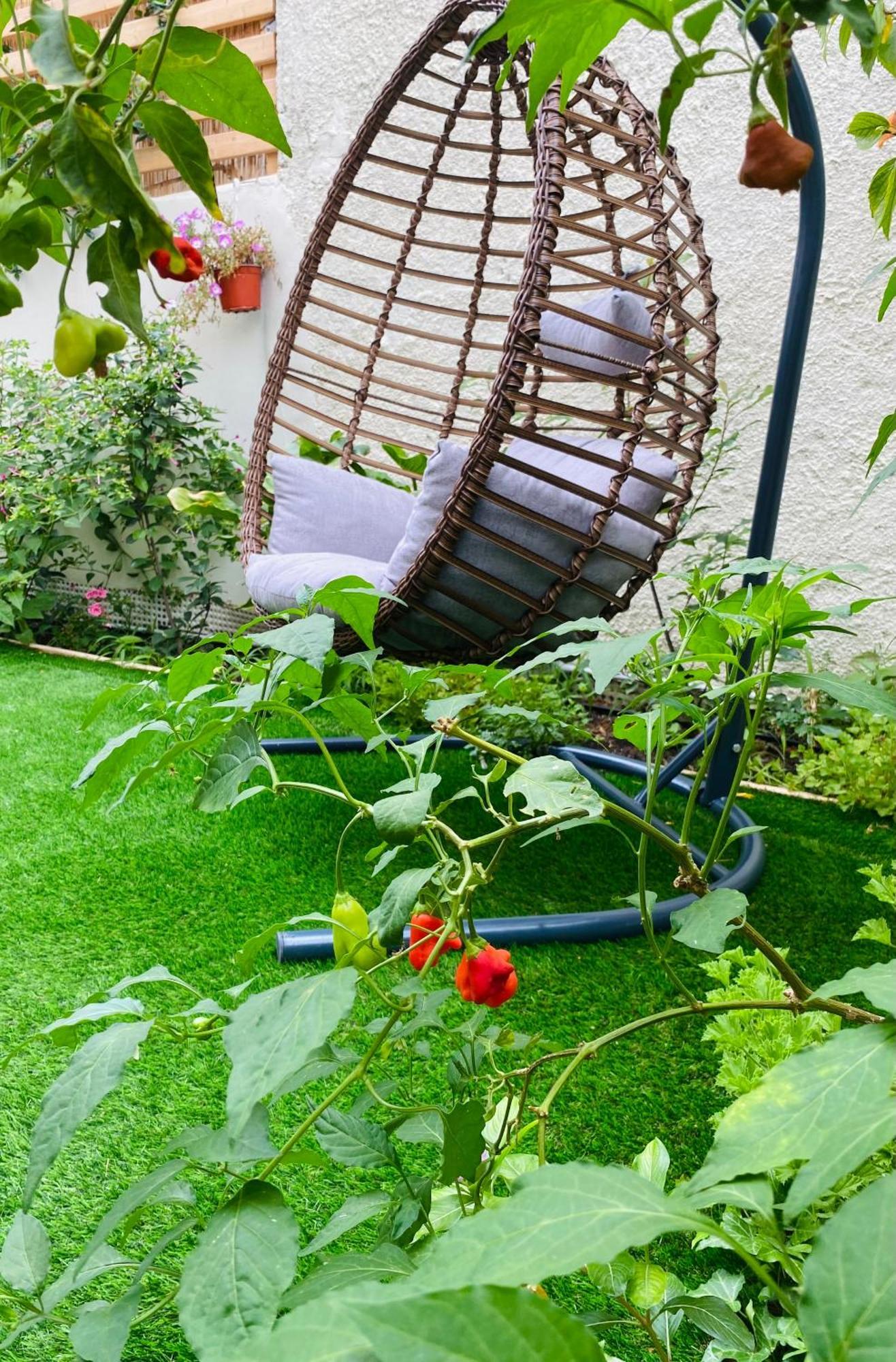 Ivy, 4 Minutes From The Sea *