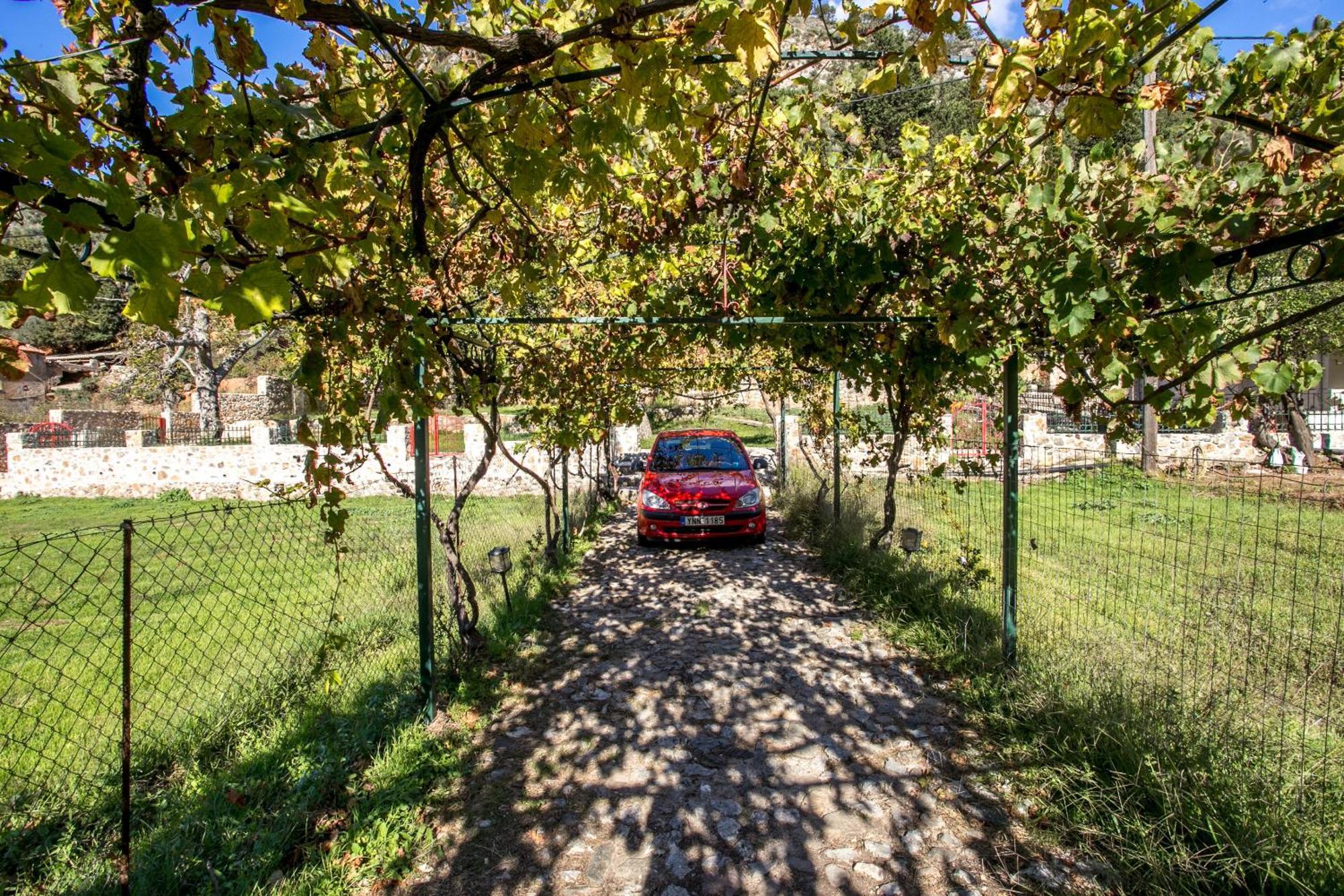 Ifigenia Lux Maisonette In Oldtown And In Theriso Vilage 14 Km Outside Of Chania