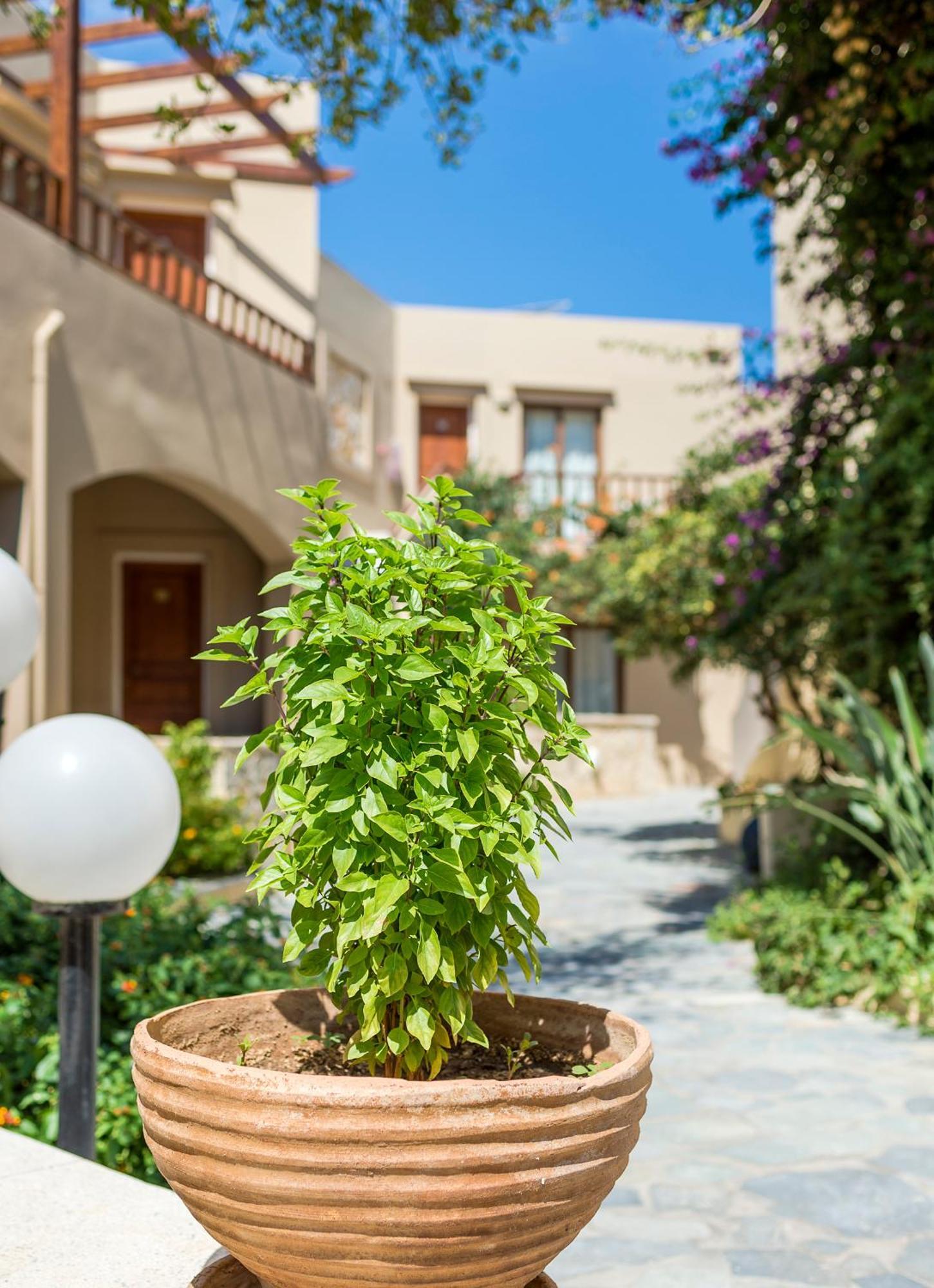 Aparthotel Indigo Mare 3*
