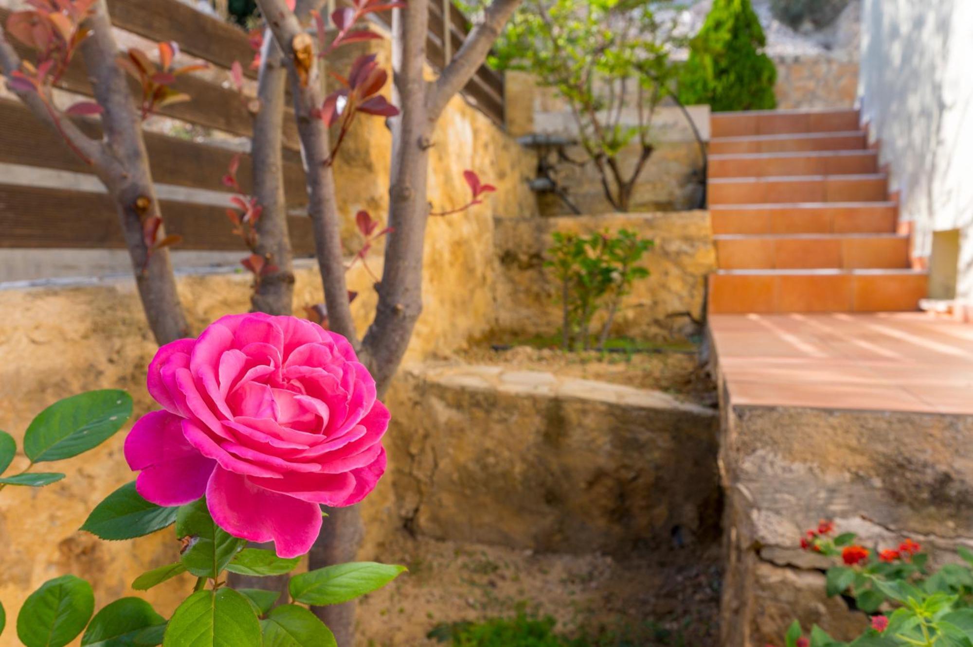 Villa Olive Chrysi Luxury With In-room Plunge Pool Chania (Crete)