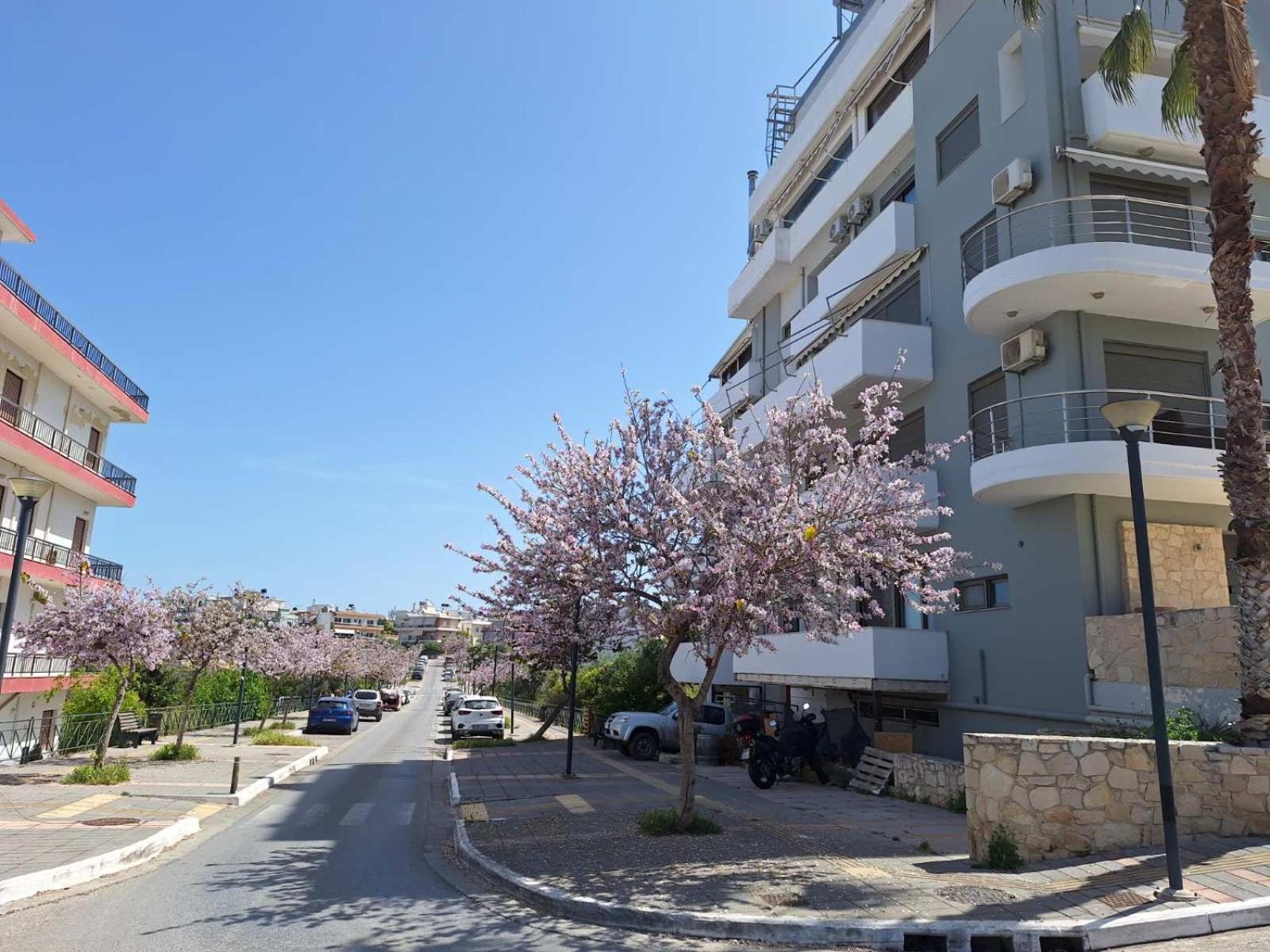 Apartment Iriana's In Center
