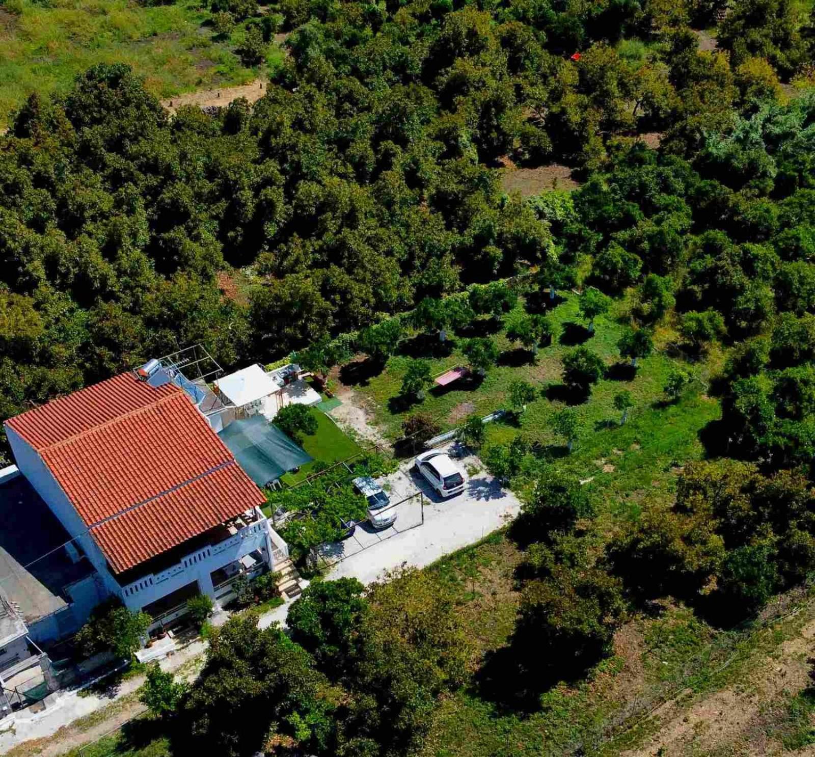 Aelia Apartment