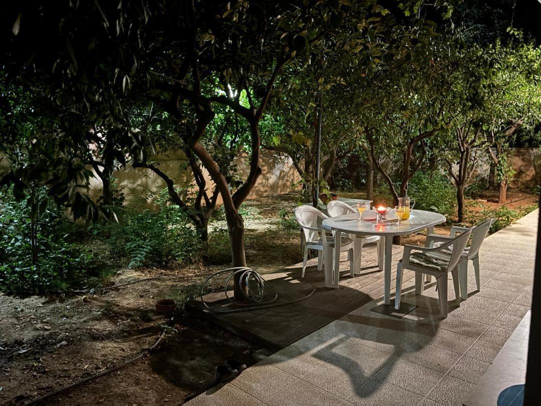 Orange Tree * Chrissi Akti Chania