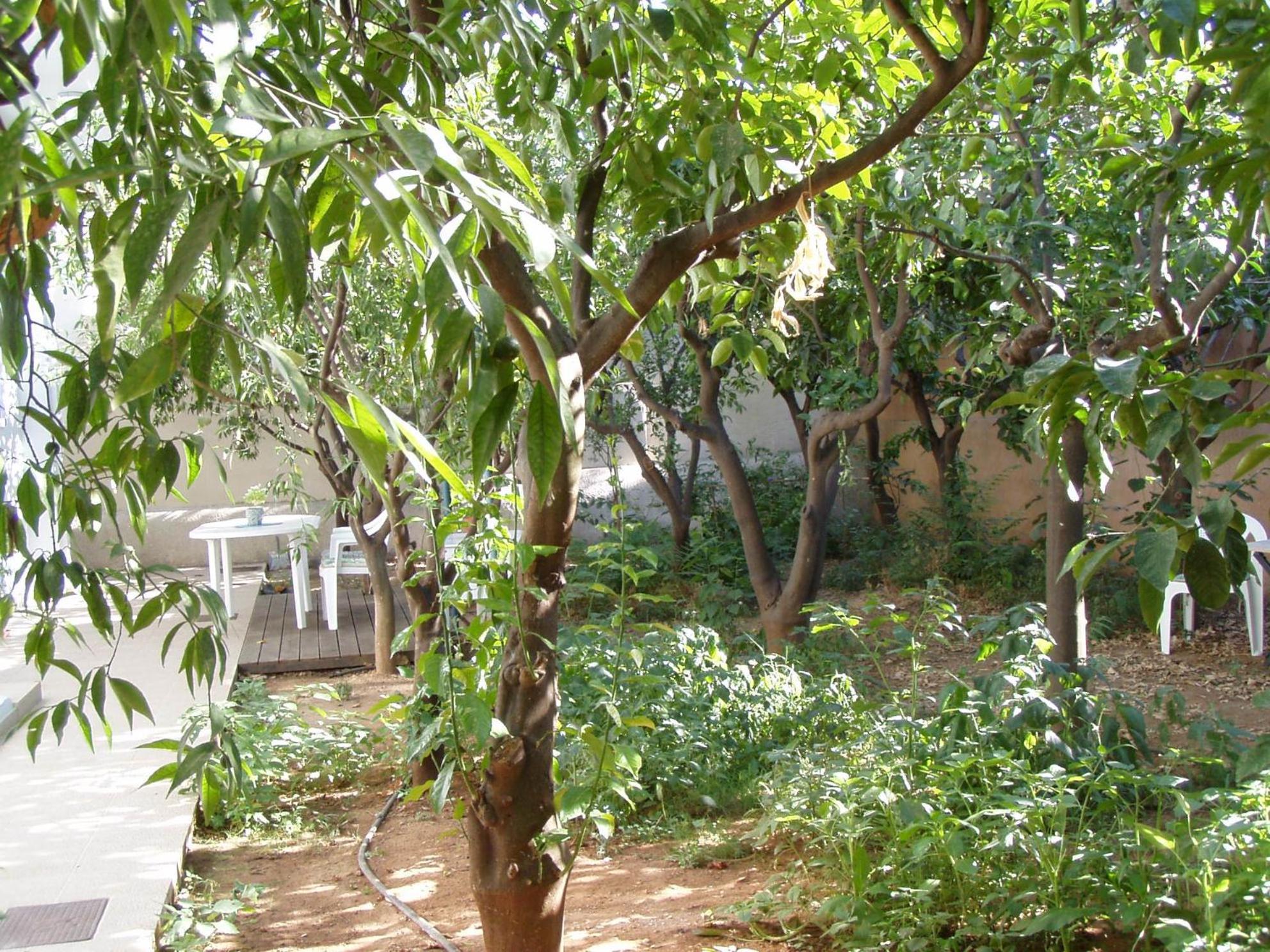 Apartamento Orange Tree *