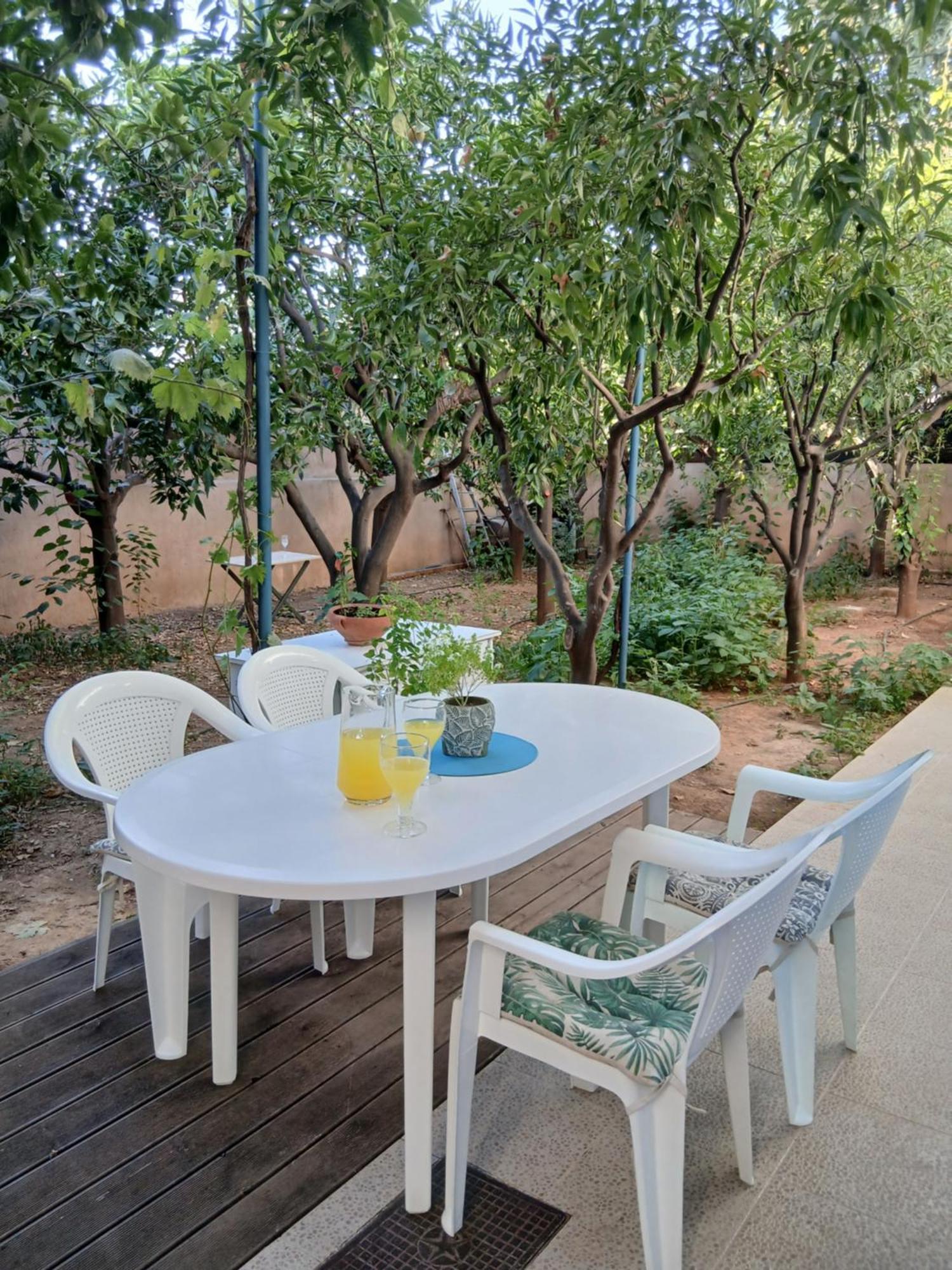 Orange Tree