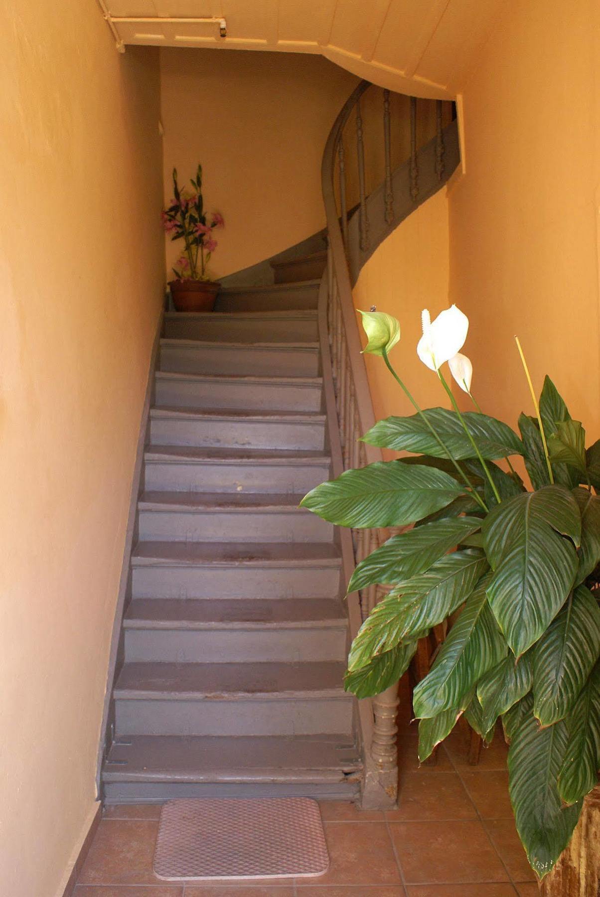 Kydonia Guest house *