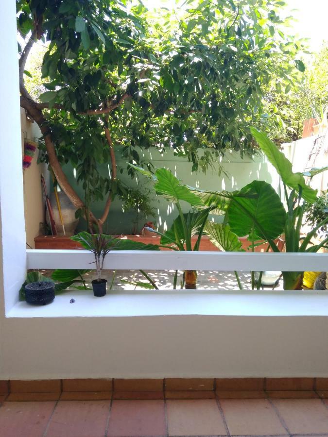 Zacharoula's Apartment