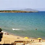 Elena Studios