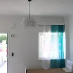 Summer Studio