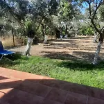 Mioara\'S Cottage