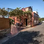 Avocado Villa Iason