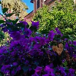 Avgi Garden House Chania With Private Entrance