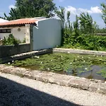 Oasis Guesthouse