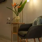 Modern Studio 2 With A Yard