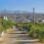 Mimoza Home