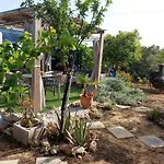 Dream Tiny House Or Luxus Tent With Pool