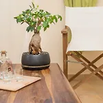 Tasos Apartments Chania