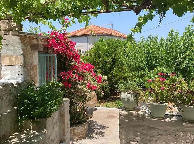 Sergios Village House