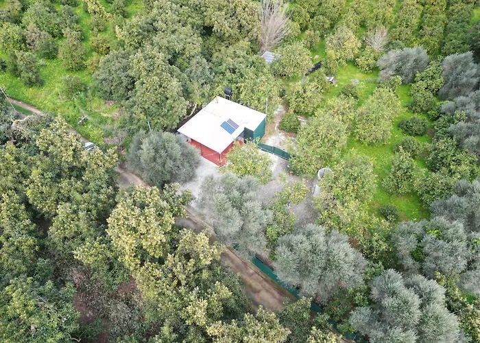 Lemon Garden Camper