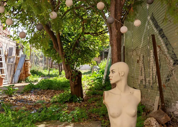 Backyard Art Studio
