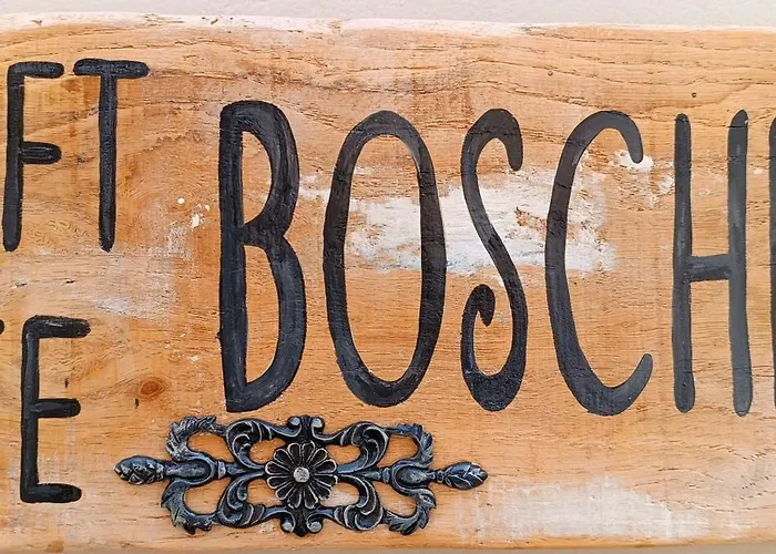 Boschini Loft Life
