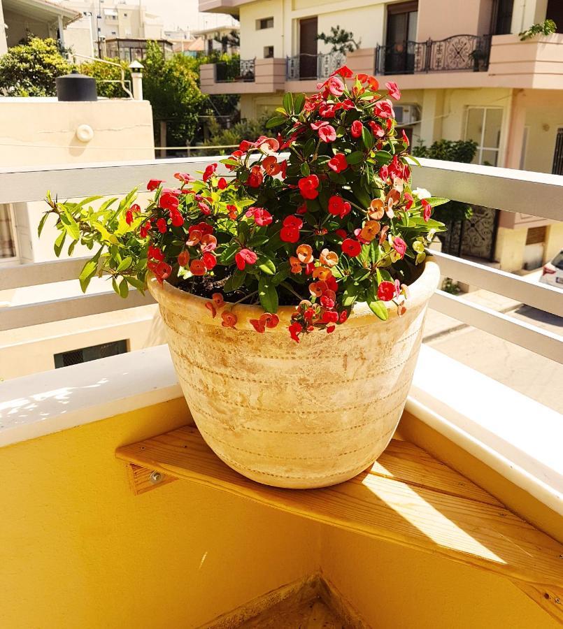 Ellis , Amperia , Crete Apartment Chania (Crete)