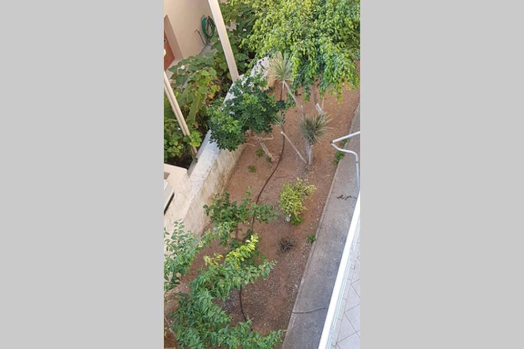 Ellis , Amperia , Crete Apartment Chania (Crete)
