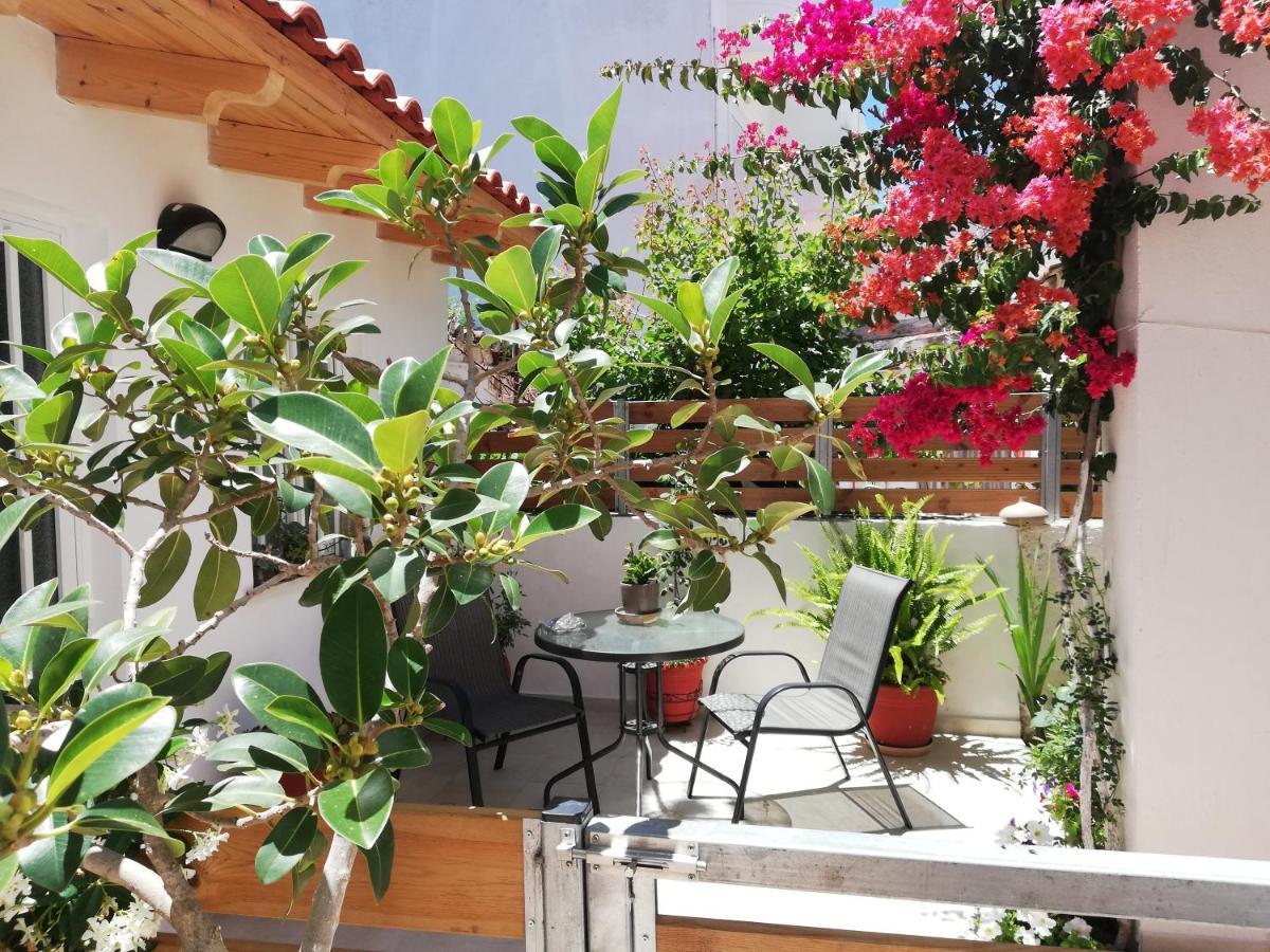 Small With Yard Apartment