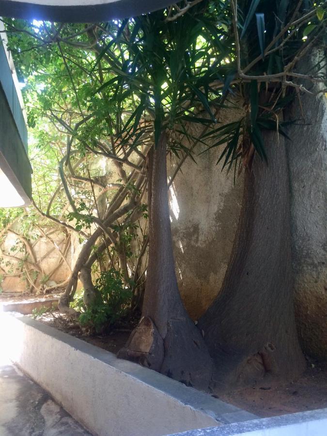 Amelie Qute * Chania (Crete)