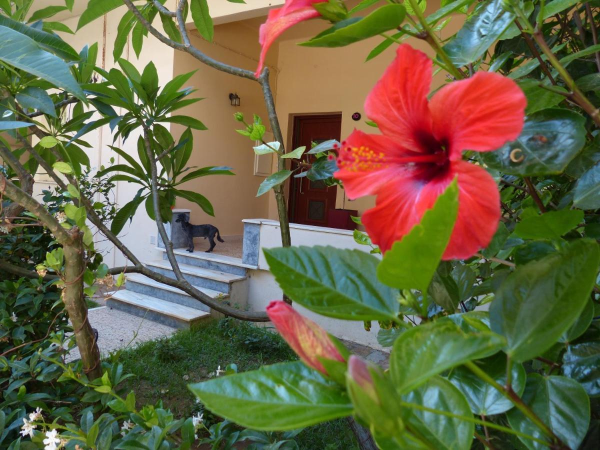 Apartment Avgi Garden House Chania With Private Entrance Chania (Crete)
