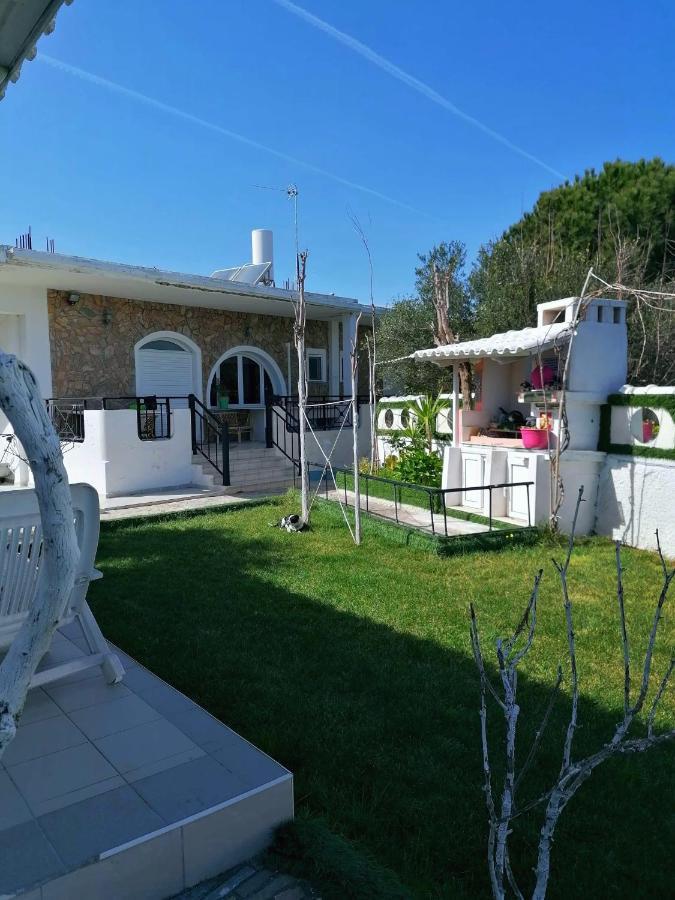 Dina Villa *
