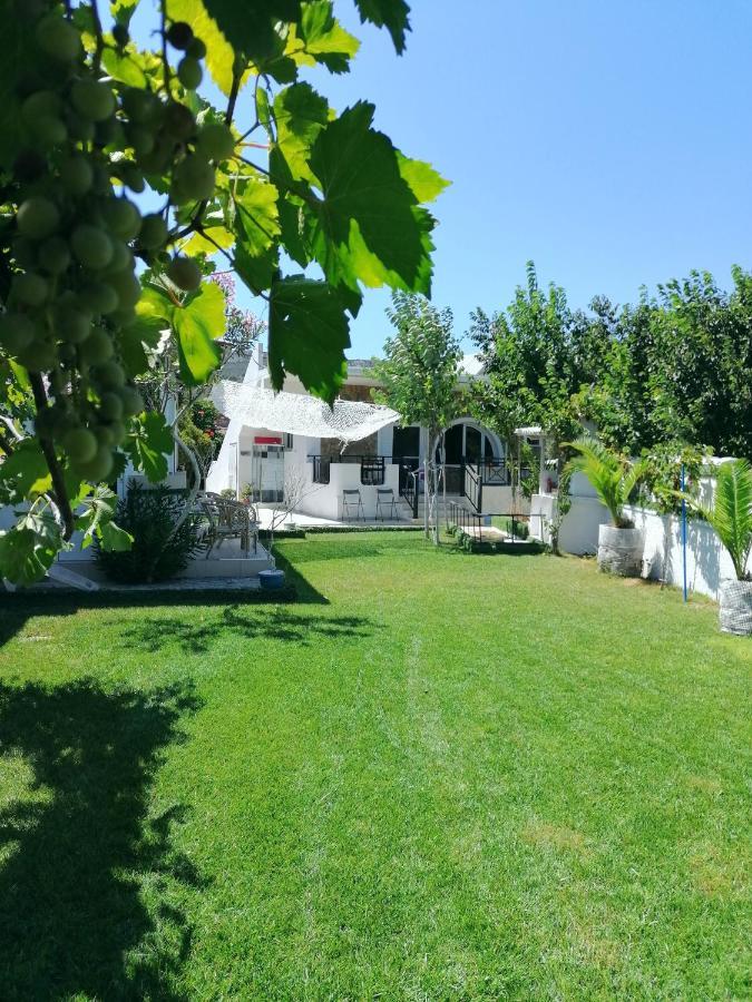 Dina Villa